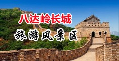美女被爽到高潮免费视频中国北京-八达岭长城旅游风景区