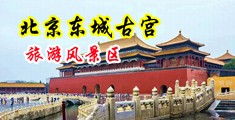 淫色小护士中国北京-东城古宫旅游风景区